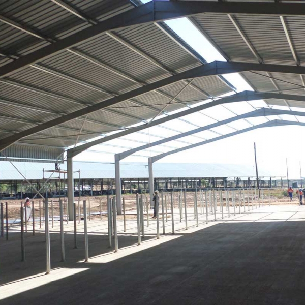 Cow Shed Construction