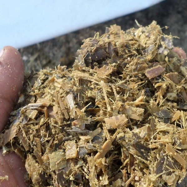 Maize Silage